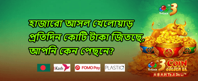 মেগা স্লট ফ্রি স্পিন বোনাস